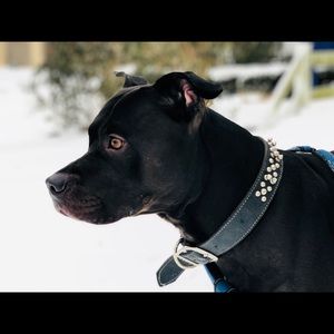 Meet your Posher, Rick